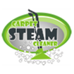 Carpet Cleaner