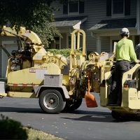 Tree Service Palmetto LFL