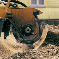 Plainfield Tree Service