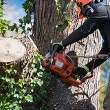 Daily deals: Travel, Events, Dining, Shopping Artisan Tree Service Menlo Park in  