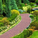 Plainfield landscaping