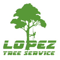 Lopez Tree Service