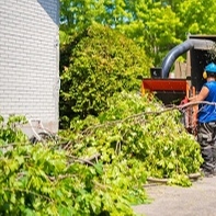 Complete Tree Service of Lebanon